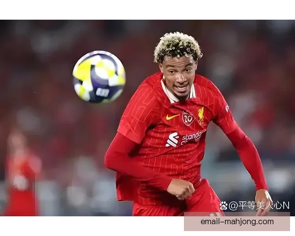 2025夏季转会窗口利物浦成功引进葡萄牙足球新秀